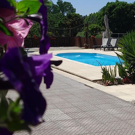 Casa Calado Villa Cadima ภายนอก รูปภาพ