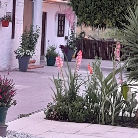 Casa Calado Villa Cadima ภายนอก รูปภาพ