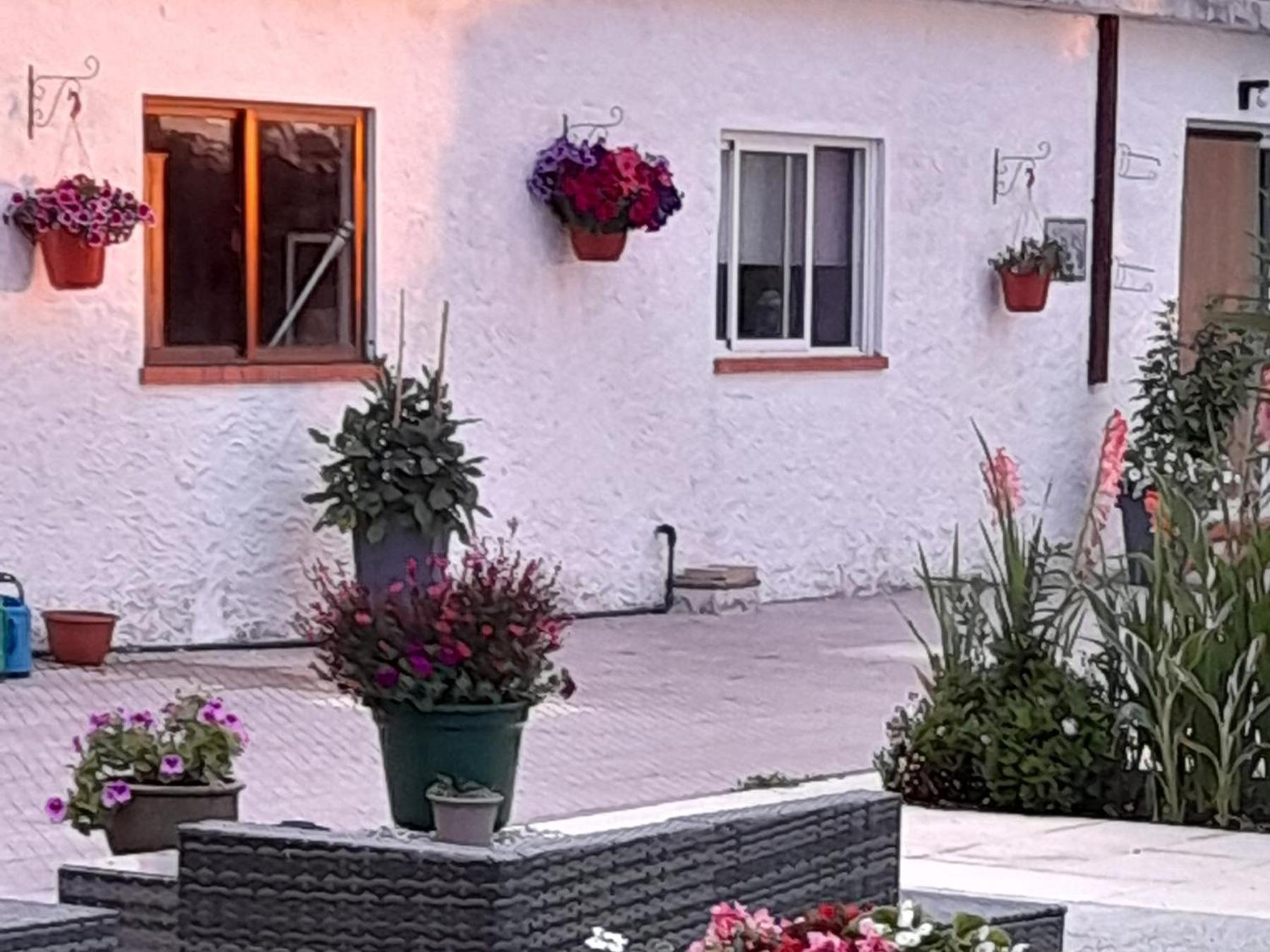 Casa Calado Villa Cadima ภายนอก รูปภาพ